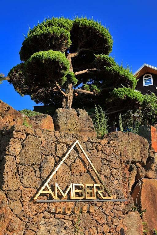 Amber House Jeju Villa Haga-ri  Bagian luar foto
